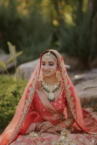 Photos by Safarsaga Films