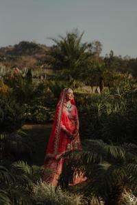 Photos by Safarsaga Films