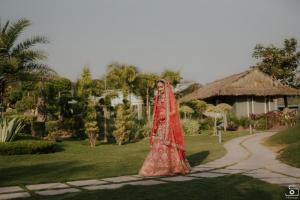 Photos by Safarsaga Films