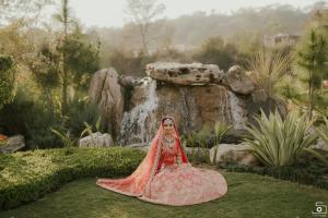 Photos by Safarsaga Films