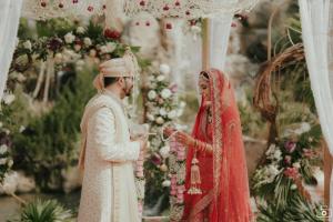 Photos by Safarsaga Films