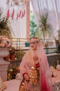 Photos by Safarsaga Films
