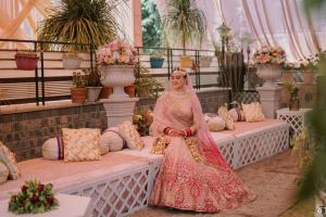 Photos by Safarsaga Films