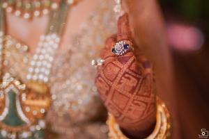 Photos by Safarsaga Films