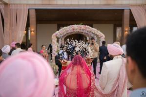 Photos by Safarsaga Films