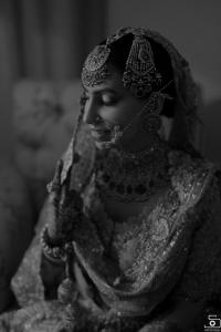 Photos by Safarsaga Films