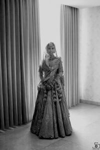 Photos by Safarsaga Films
