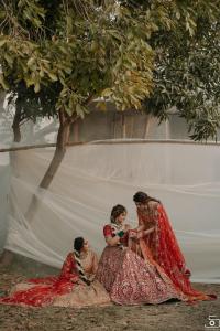 Photos by Safarsaga Films