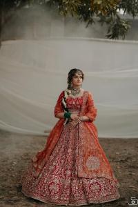Photos by Safarsaga Films