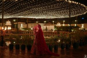 Photos by Safarsaga Films