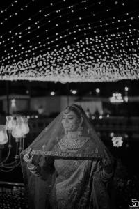 Photos by Safarsaga Films