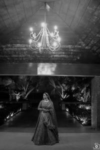 Photos by Safarsaga Films