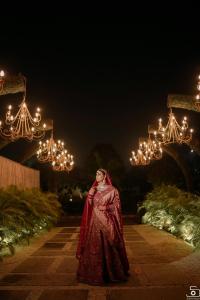 Photos by Safarsaga Films