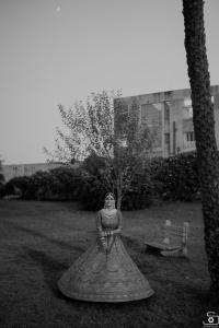 Photos by Safarsaga Films
