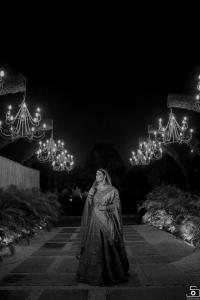 Photos by Safarsaga Films