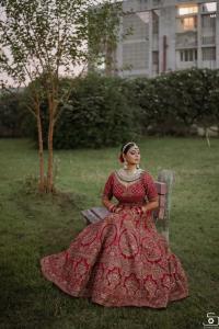 Photos by Safarsaga Films