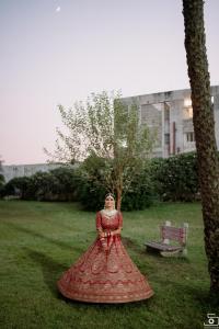 Photos by Safarsaga Films