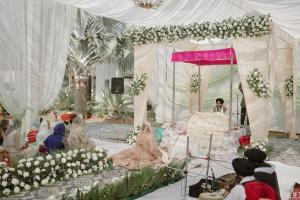 Photos by Safarsaga Films