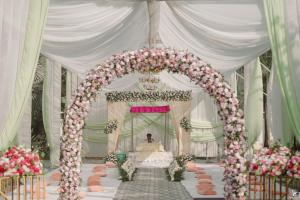 Photos by Safarsaga Films