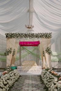 Photos by Safarsaga Films