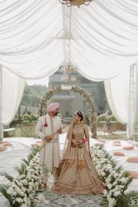 Photos by Safarsaga Films