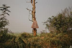 Photos by Safarsaga Films