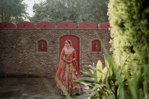 Photos by Safarsaga Films
