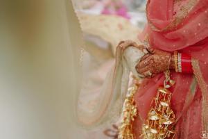 Photos by Safarsaga Films
