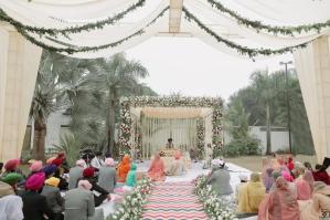 Photos by Safarsaga Films