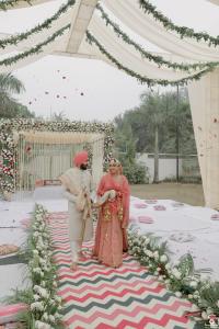 Photos by Safarsaga Films