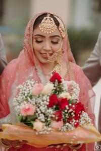 Photos by Safarsaga Films