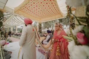 Photos by Safarsaga Films