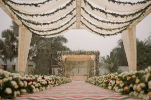 Photos by Safarsaga Films
