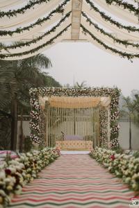 Photos by Safarsaga Films
