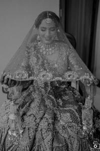 Photos by Safarsaga Films
