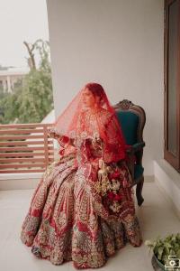 Photos by Safarsaga Films