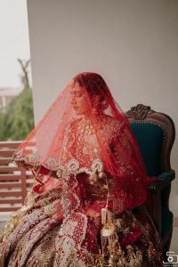 Photos by Safarsaga Films