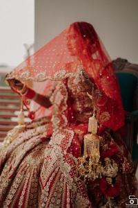 Photos by Safarsaga Films