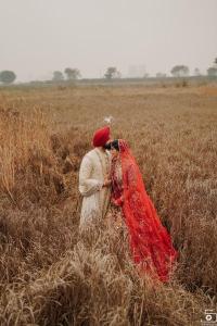 Photos by Safarsaga Films