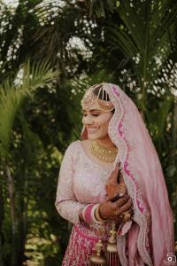Photos by Safarsaga Films