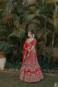 Photos by Safarsaga Films