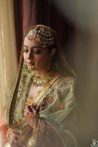 Photos by Safarsaga Films