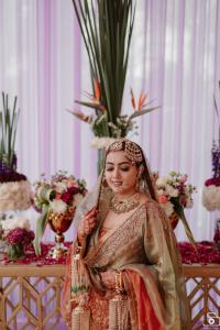 Photos by Safarsaga Films