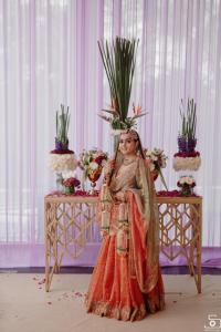 Photos by Safarsaga Films
