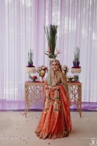 Photos by Safarsaga Films