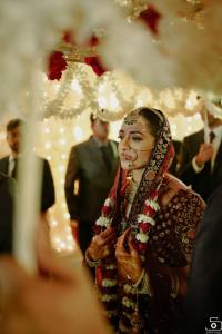 Photos by Safarsaga Films