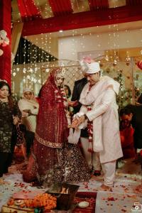 Photos by Safarsaga Films