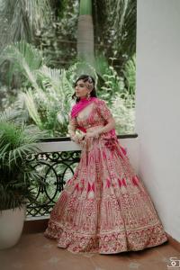 Photos by Safarsaga Films