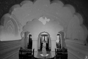 Photos by Safarsaga Films