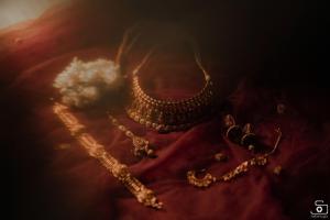 Photos by Safarsaga Films